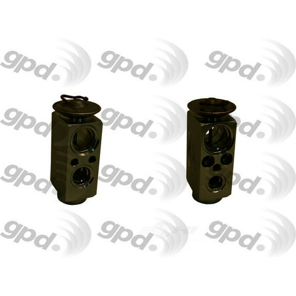 gpd Exp Valve/ Orifice 3411763