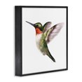 thumbnail image 2 of Stupell Industries Coastal Flying Hummingbird Wings Hovering Casual Black Framed Giclee Art, 12 x 12, by Studio Q, 2 of 7