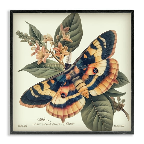Stupell Industries Detailed Moth & Lilies Animals Painting Black Framed Art Print Wall Art, 12 x 12