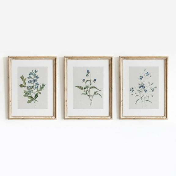 Luvia Blue Botanical Set Of 3 | Vintage Flower Posters | Floral Indigo Minimal Art | 457, Modern Wall Decor Set 3 Prints 8x12 UNFRAMED
