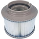 thumbnail image 1 of Cartucho de filtro de repuesto para filtros de piscina, paquete doble, gris, estándar, reemplazo de accesorios de filtro para piscinas inflables, 2 uds., 1 of 5