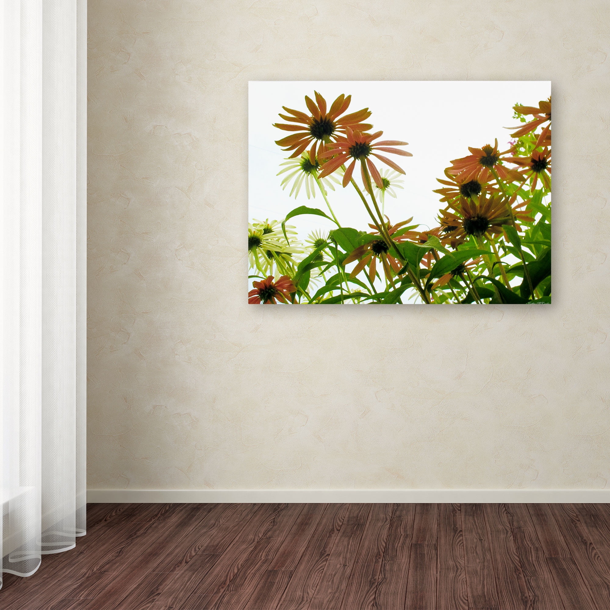 Trademark Fine Art "Orange Coneflowers" Canvas Art by Kathie McCurdy