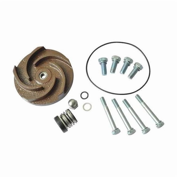 Dayton Pump Repair Kit,For 2ZWP5A,2ZWP6A 21TG41