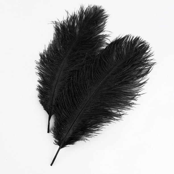 AWAYTR Plumas de avestruz naturales de 18 a 20 pulgadas (45 a 50 cm) para centros de mesa de boda, decoración del hogar, arreglos florales, decoraciones navideñas de bricolaje (10 unidades, blanco-1)