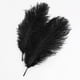 thumbnail image 1 of AWAYTR Plumas de avestruz naturales de 18 a 20 pulgadas (45 a 50 cm) para centros de mesa de boda, decoración del hogar, arreglos florales, decoraciones navideñas de bricolaje (10 unidades, blanco-1), 1 of 4