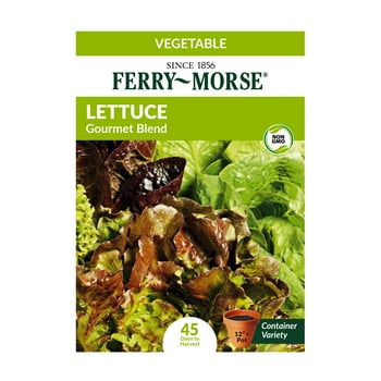Ferry-Morse Lettuce Gourmet Blend   (1 Pack) - Seed Gardening, Full Sun
