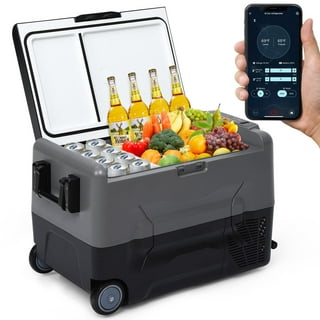 Alpicool C40 Portable Refrigerator 12 Volt Car Freezer 42 Quart(40 Liter) Vehicle,Truck, RV, Boat, Compact Freezer for Travel