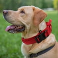 thumbnail image 7 of Unique Bargains Dog Collar for Large Dogs Adjustable Heavy Duty Collar with Handle Tactical Dog Collar Heavy Duty Dog Collar Red XL, 7 of 7