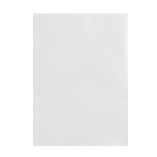 Toile de Fond pour Photographie Non Tissée, Écran de Fond Uni, Accessoire