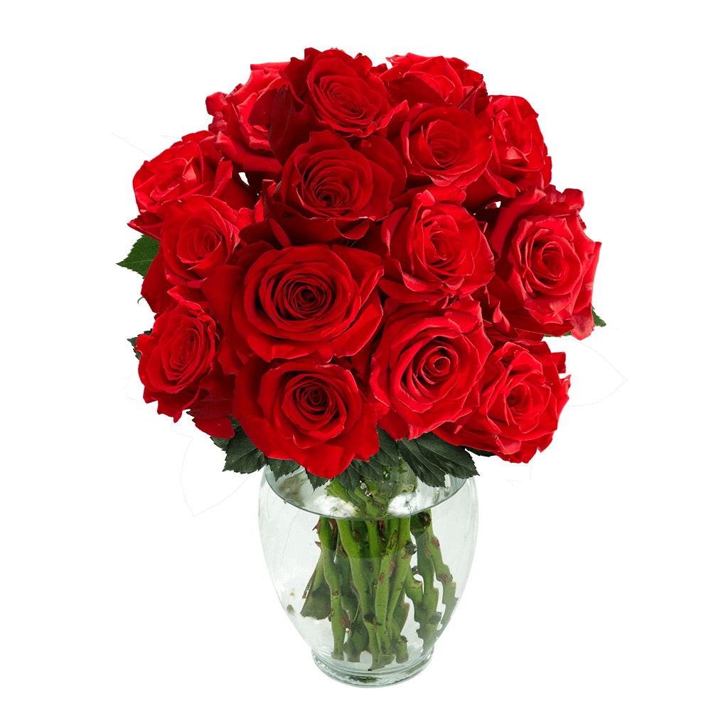 100 Assorted Red Roses- Beautiful Fresh Cut Flowers- Express Delivery - image 3 of 5