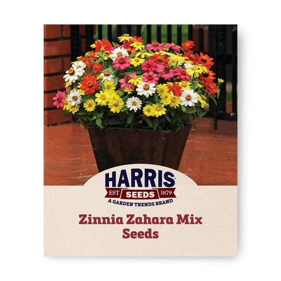 Harris Seeds Zinnia Zahara Mix, Mid-Height Flowering Variety, 25 Count