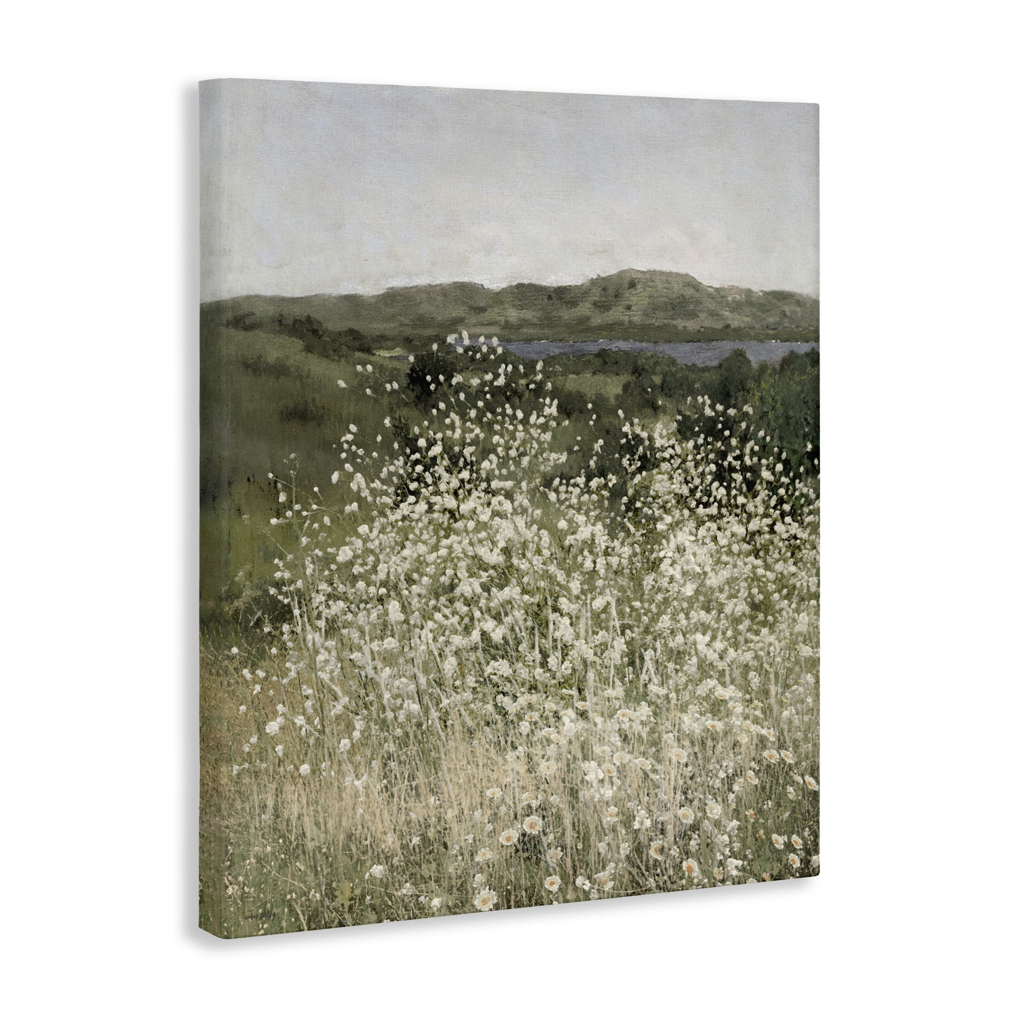 Stupell Industries Sunlit Meadow of White Daisies Canvas Wall Art, design by Amber Sterling