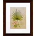 thumbnail image 1 of Timeless Frames 55319 Cadre Photo 16 x 20 Po Journal Botanique II, 1 of 1