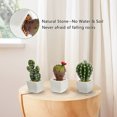 thumbnail image 4 of 6 Pcs Mini Artificial Cactus Plants in in Ceramic Pots Faux Succulents Potted Home Decor Indoor Office Desk Tabletop Shelf, 4 of 8