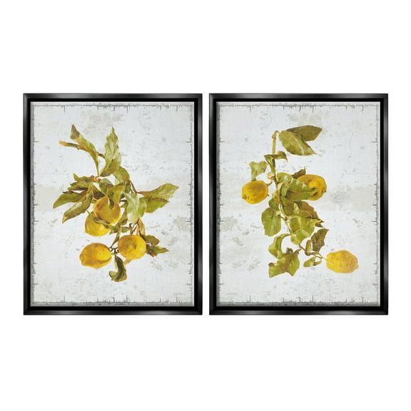 Stupell Industries Rustic Lemons & Leaves Food & Beverage Painting Black Floater Framed Canvas Art Print Wall Art, 17 x 21, Set of 2