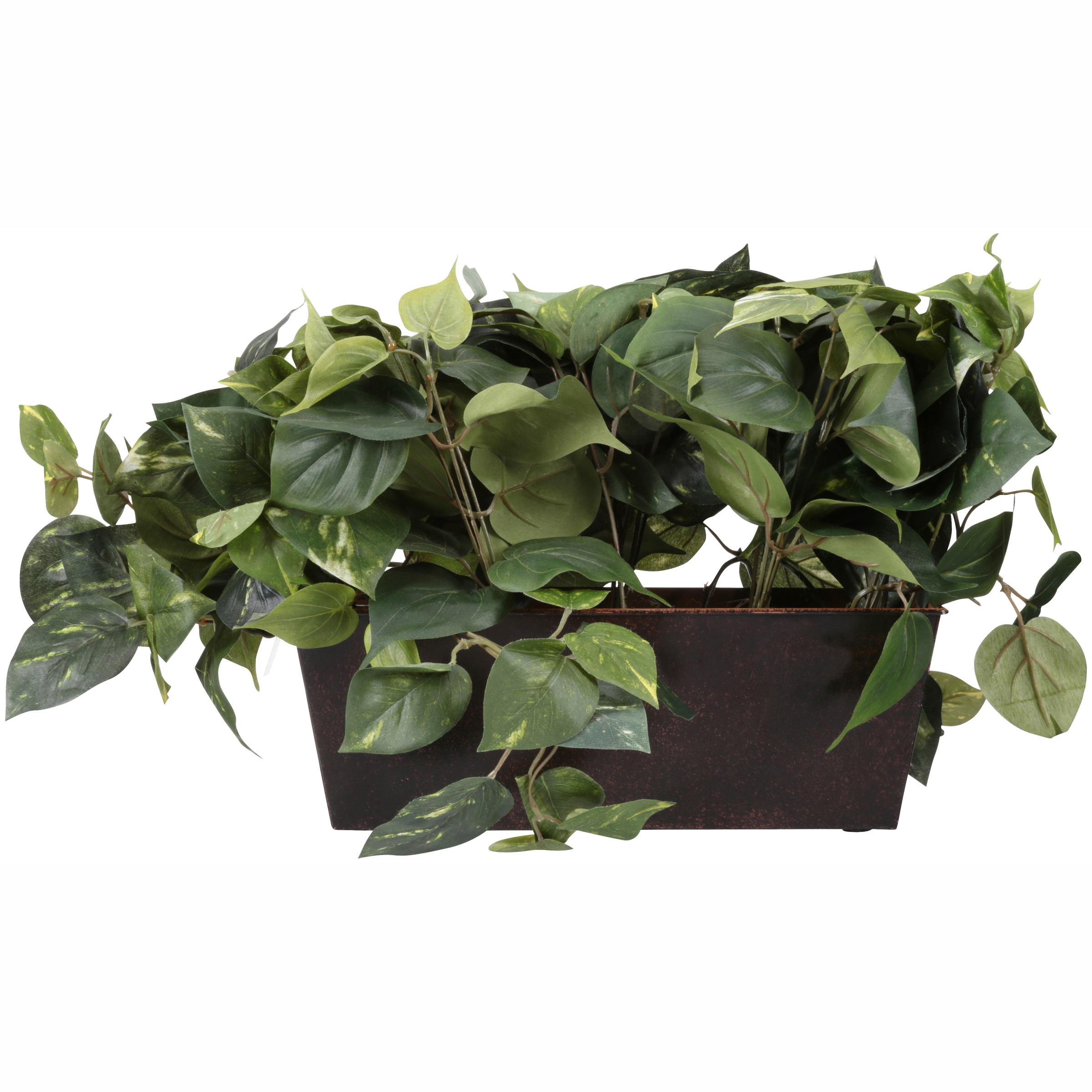 Philo Mixed Large Planter, 1 Each