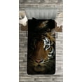 thumbnail image 3 of Ambesonne Tiger Quilted Bedspread Set 2 Pcs, King of Sundarbans, Twin Size, Dark Orange Black, 3 of 3