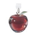 thumbnail image 4 of Unique Bargains 2 Pcs Dust Plug Charm for Type-C Fruit Anti Dust Plugs Clear Red, 4 of 5