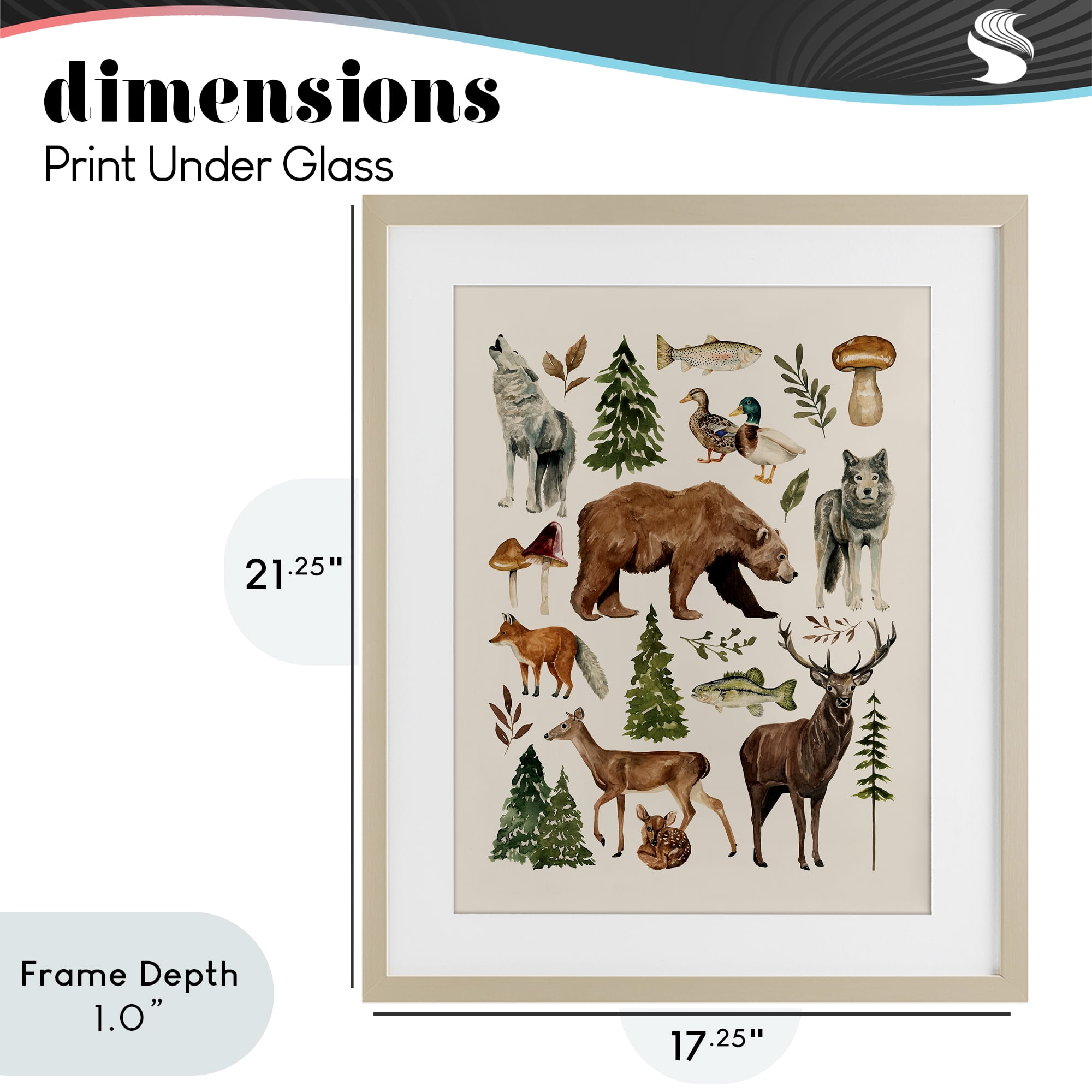Stupell Industries The Wild Wood Animals Birch Framed Print Under Glass, design by Bethany Sandoval