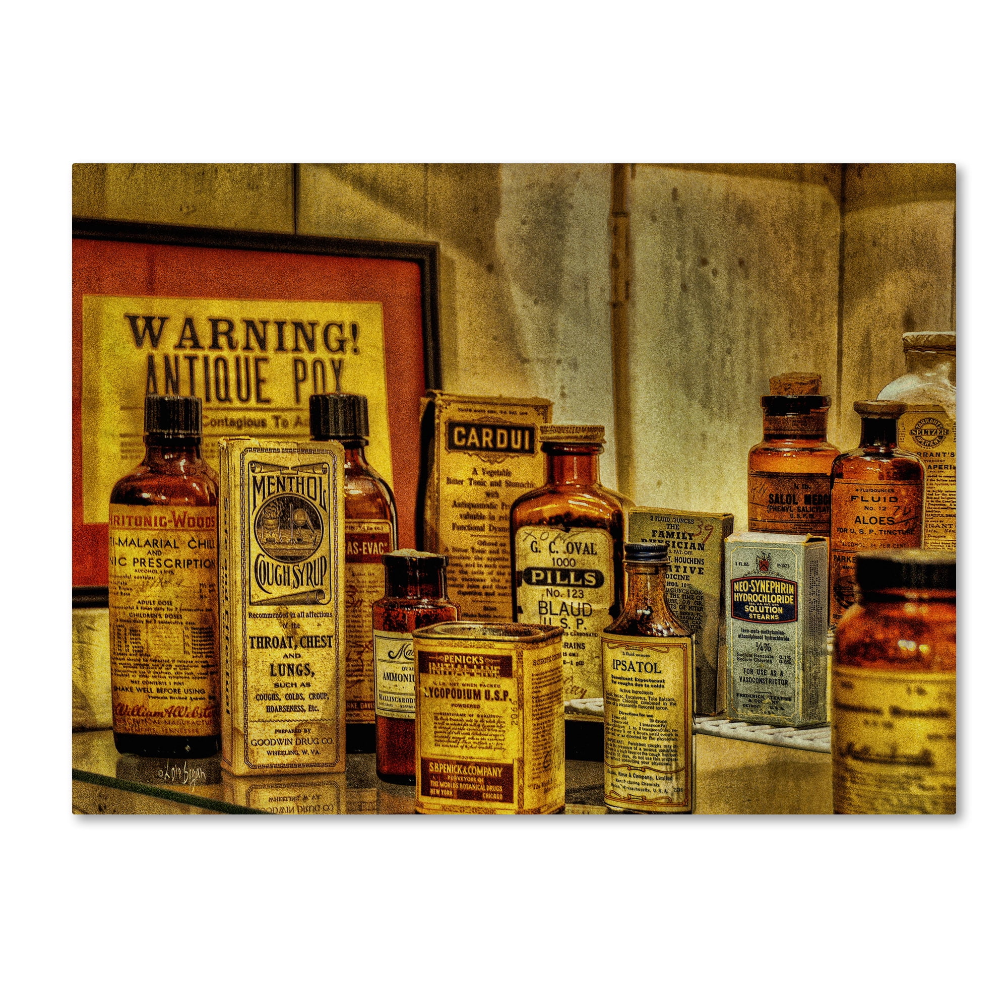 Trademark Fine Art Still Life Canvas Art ' Vintage Medicines ' by Lois Bryan