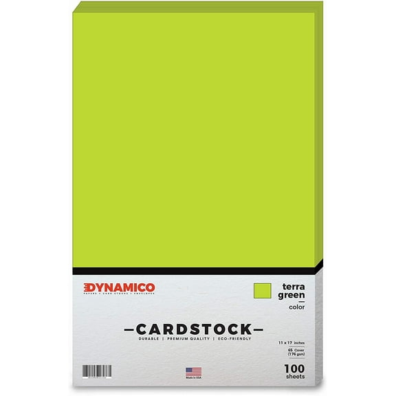 Terra Green 11 x 17" Cardstock Paper - Tabloid/Ledger - for Cards and Stationery Printing | Medium weight 65 LB (175 gsm) Cover Card Stock | 100 Sheets Per Pack