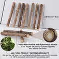thumbnail image 3 of Pack of 10 Matatabi Cat Sticks, Dried Catnip Natural Catnip Matabi Stick Chew Cat Toy., 3 of 5