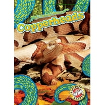 Slithering Snakes Copperheads, (Hardcover)