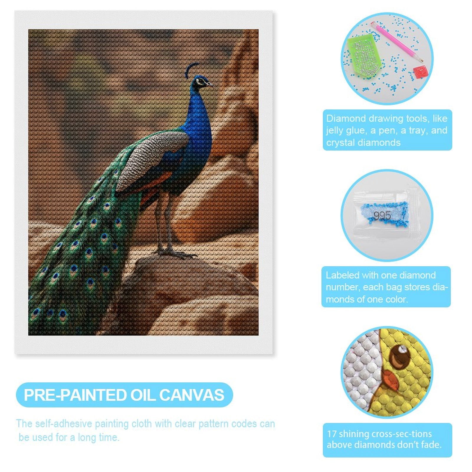 Diamond Art Kits for Adults, Majestic Bird Vibrant Feathers Rocks 5D Diamond Painting Kits for Adults Beginners, DIY Full Drill Diamond Painting, Gem Art and Crafts 12x16