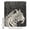 Beige, variant on Abstract Animals Pattern Bathroom Shower Curtains with 12 Hooks Polyester Waterproof Shower Curtain for Stalls and Bathtubs Modern Wildlife Leopard Black Decorative Bathroom Curtain 36x72 Inches