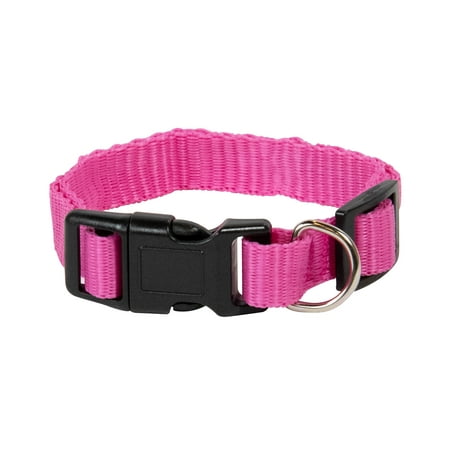 Pet Champion Medium Pink Collar for Dogs