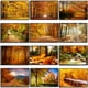 thumbnail image 2 of Póster de lienzo con decoración de otoño, hojas amarillas, vista de otoño, arte de pared, impresión, pintura de puente, imagen de Halloween, decoración del hogar para sala de estar, 2 of 5