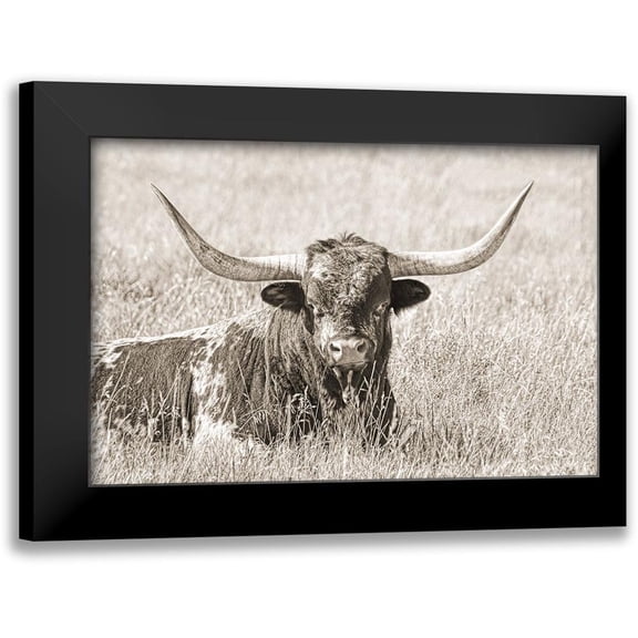 Schell, Jennie Marie 14x11 Black Modern Framed Museum Art Print Titled - Longhorn Bull Sepia