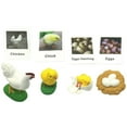 thumbnail image 1 of del pollo Figuras Biología Ciencia Juguetes Educativos Preescolar Juguetes de aprendizaje Modelo Figuras para enseñanza Hugo juguetes de crecimiento de pollo, 1 of 6