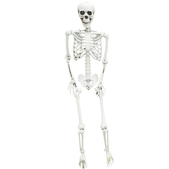 Life Size Skeleton Skeleton Halloween Outdoor Decorations Realistic Full Body Posable Joints Bones Scary Halloween Skeleton 165Cm Desktop Ornament
