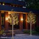 thumbnail image 3 of Birch Tree LIGHTSHARE de 8 pies con 132 luces LED de color blanco cálido, x2, 3 of 9