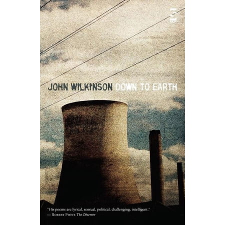 Down to Earth (Paperback)