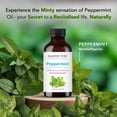 thumbnail image 5 of Majestic Pure Peppermint Essential Oil, Premium Grade, Pure and Natural, for Aromatherapy, Massage, Topical & Household Uses, 1 fl oz, 5 of 9