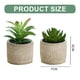 thumbnail image 2 of Bonsái suculentas de simulación, pequeños adornos creativos, macetas de cemento, plantas verdes artificiales, 2 uds., 2 of 5