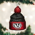 thumbnail image 3 of Old World Christmas University of Wisconsin Badgers Glass Blown Ornaments for Christmas Tree Beanie, 3 of 3