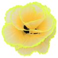thumbnail image 1 of Simulation Coral Decoration Fluorescent Fish Tank Plants Decoration for Landscape Decor Yellow, 1 of 2
