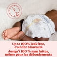 thumbnail image 2 of Huggies Little Snugglers Baby Diapers, Giga Pack, Sizes: N-2, 2 of 9