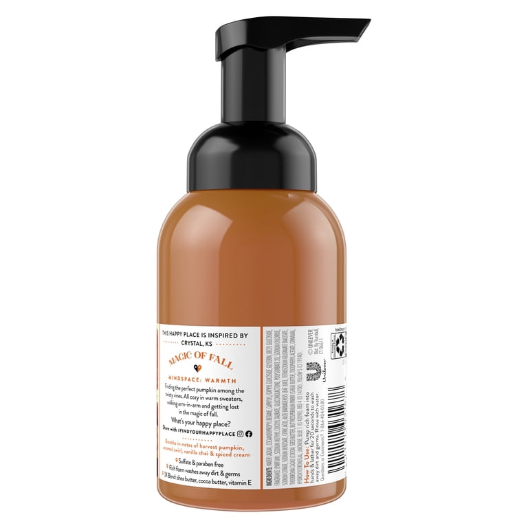 Find Your Happy Place Pumpkin Spice Season Foaming Liquid Hand Wash Pumpkin  and Spiced Cream 8 oz - Walmart.com