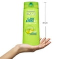 thumbnail image 3 of Garnier Fructis, Clean & Fresh Conditioner, 3 of 5