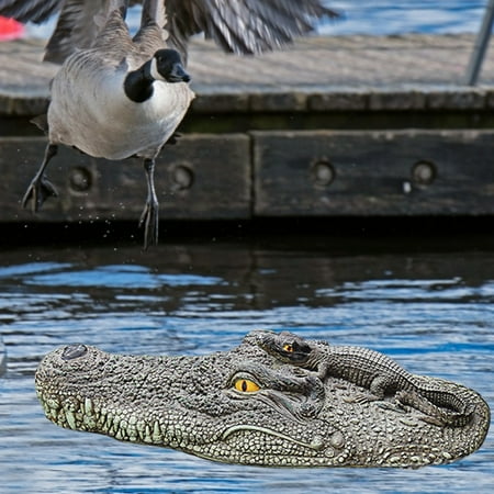 realistic alligator pool float