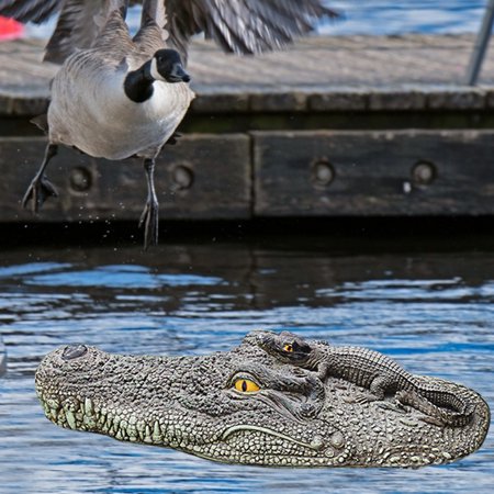 AIHOME Alligator Head Decoy Pond Float with Protective Coating Realistic Floating Head Alligator