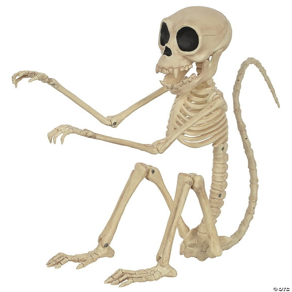 Seasons USA Monkey Skeleton Halloween Decoration - 9.5 in
