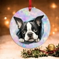 thumbnail image 4 of AatoeaX Boston Terrier Snowflake Ornament: Cute Dog Portrait, Transparent Acrylic, Hanging Keepsake for Pet Fans, Holiday Decor & Gifts, 4 of 7