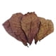 thumbnail image 4 of Acuario Elemi Leaf NUEVO B3Z0, 4 of 8