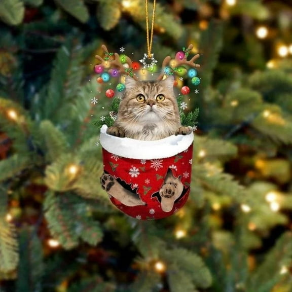Acrylic 2D FLAT Cat In Snow Pocket Christmas Ornament 8