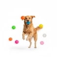 thumbnail image 2 of Squeaky Spiky Dog Toy Ball for Small Medium Large Dogs High Elasticity Floating Water Toy Durable Chew Toy for Teeth Cleaning and Interactive Fetch Play, 2 of 3
